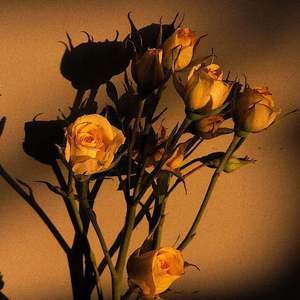 扒开jk美女❌狂揉❌漫画
